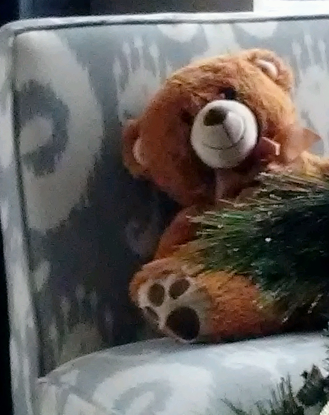 Edge of the Frame – Mr. Bear